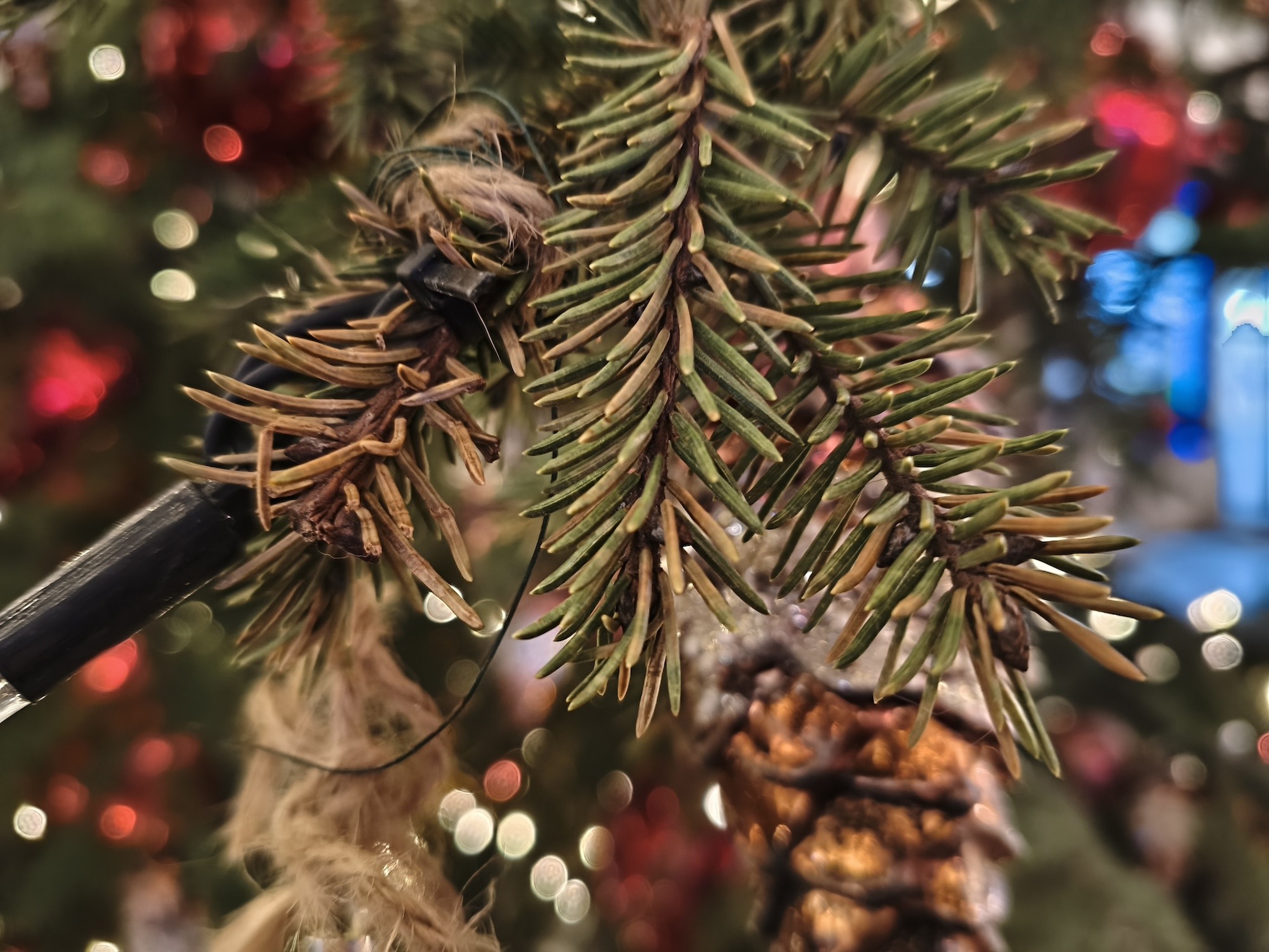 Мощный смартфон с топовым экраном и обычной камерой. Обзор POCO X8 Pro Max. Камера POCO X8 Pro Max. Фото.