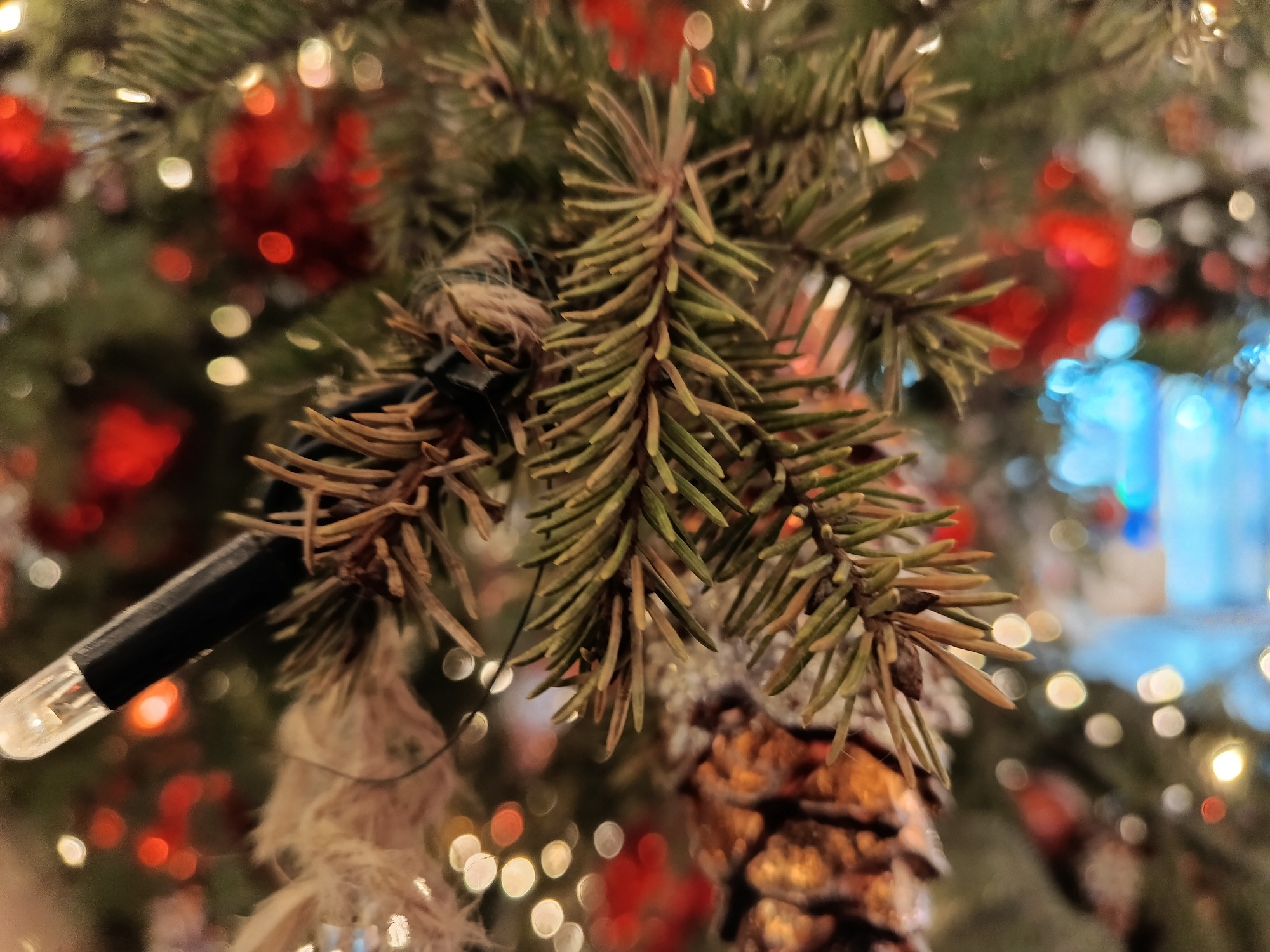 Сравнение камер Redmi Note 15 и realme C85. Redmi Note 15. Фото.