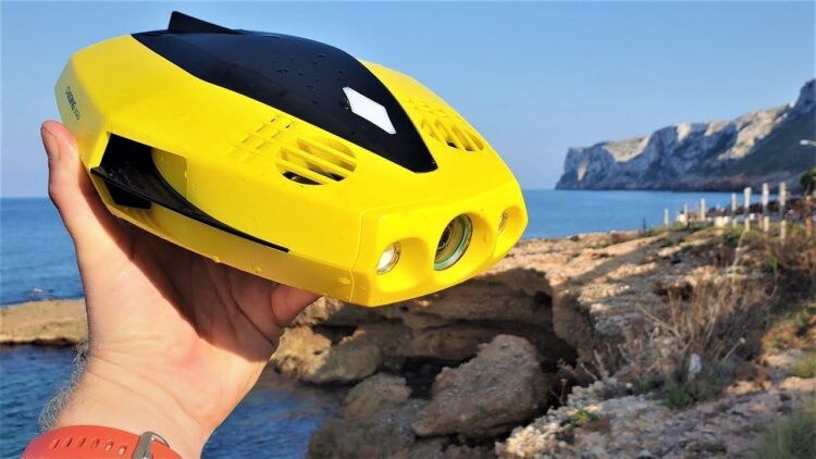 Chasing Dory довольно крупный, но он может плавать сам. Изображение: Drones For Hire. Фото.