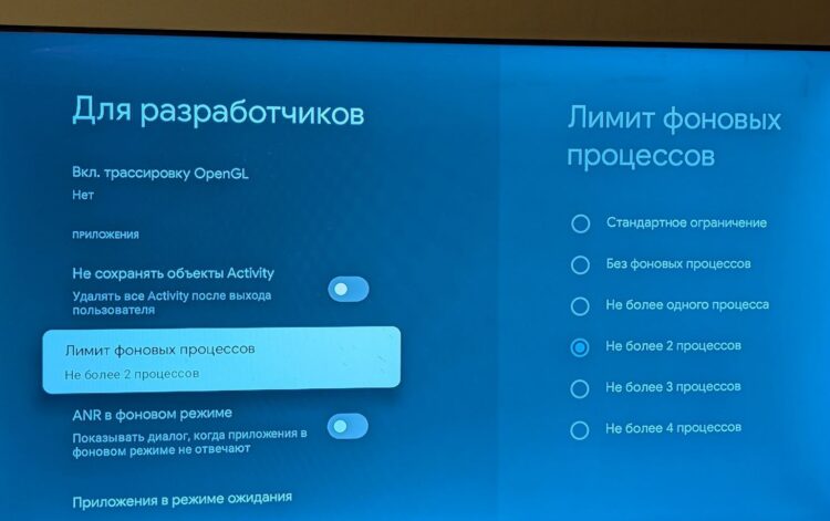 В меню для разработчиков на Android TV есть много интересных фишек. Фото: comss.one. Фото.