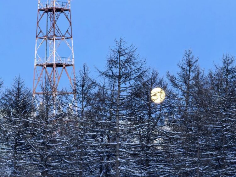 Вот так фоткает среднебюджетник за 23к рублей. Фото.