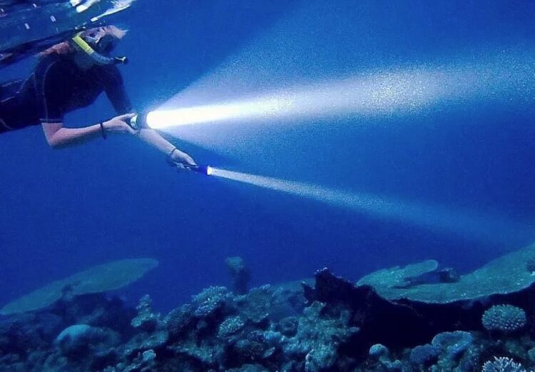 Для серьезного дайвинга нужен хороший фонарь. Изображение: Fonarik4you.ru. Фото.