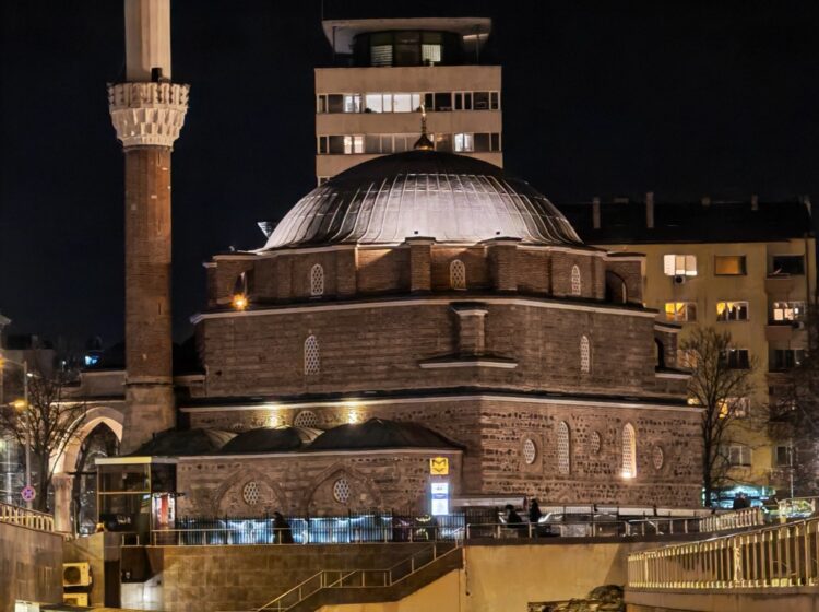 6-кратный зум на Magic7 Pro. Фото: gsmarena.com. Фото.