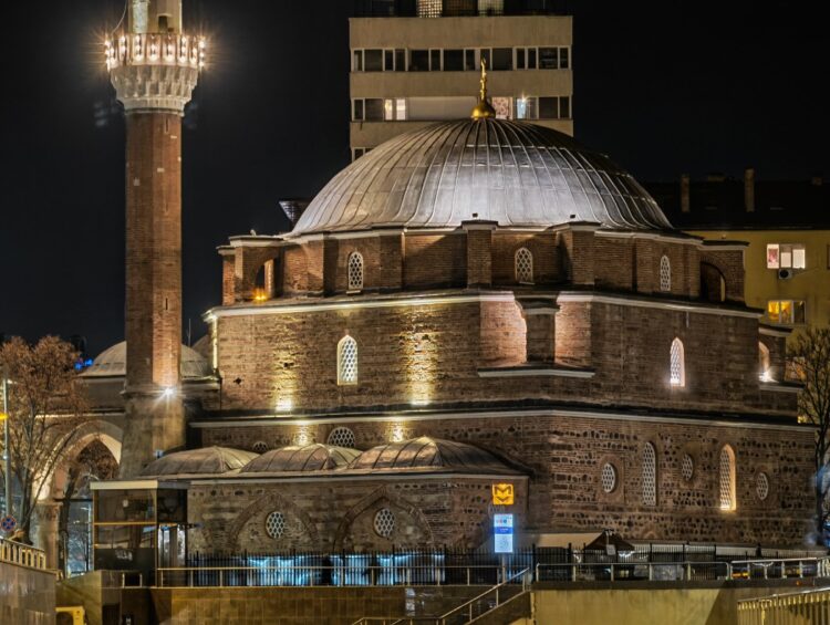 7.4-кратный зум на Magic8 Pro. Фото: gsmarena.com. Фото.