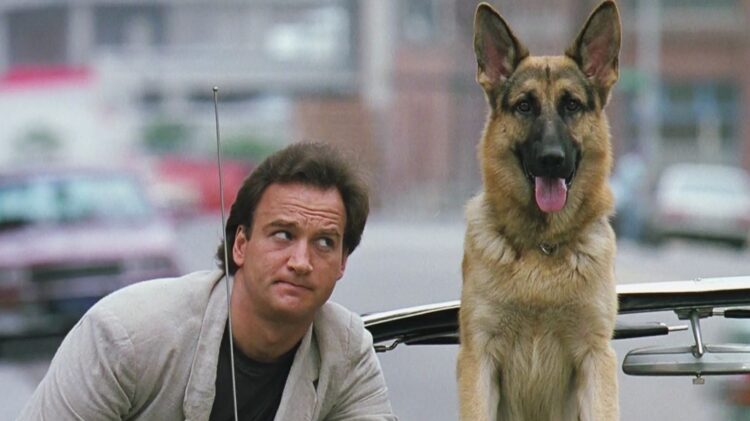 Если любите собак и фильмы про полицию, то это лучший выбор на вечер! Фото: afisha.ru. Фото.