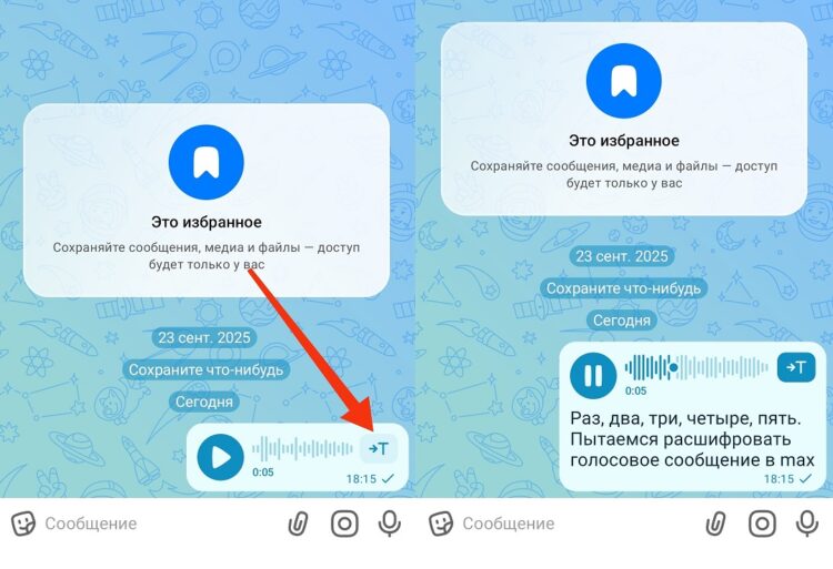 Так можно перевести голосовое в любом чате. Фото.