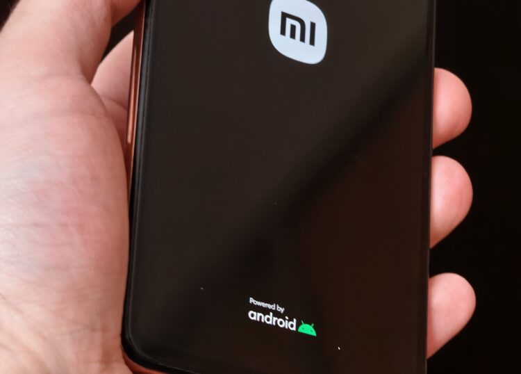 Важно дождаться анимации запуска. Фото.