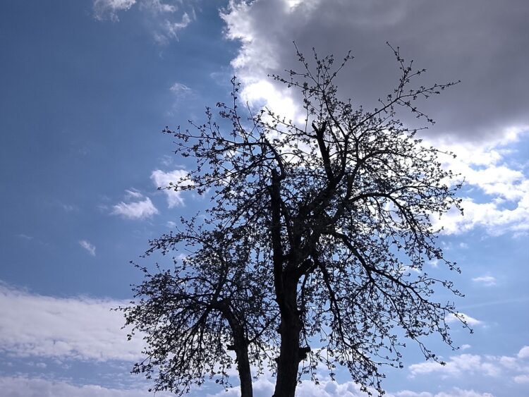 Качество так себе даже днем. Фото: club.dns-shop.ru. Фото.