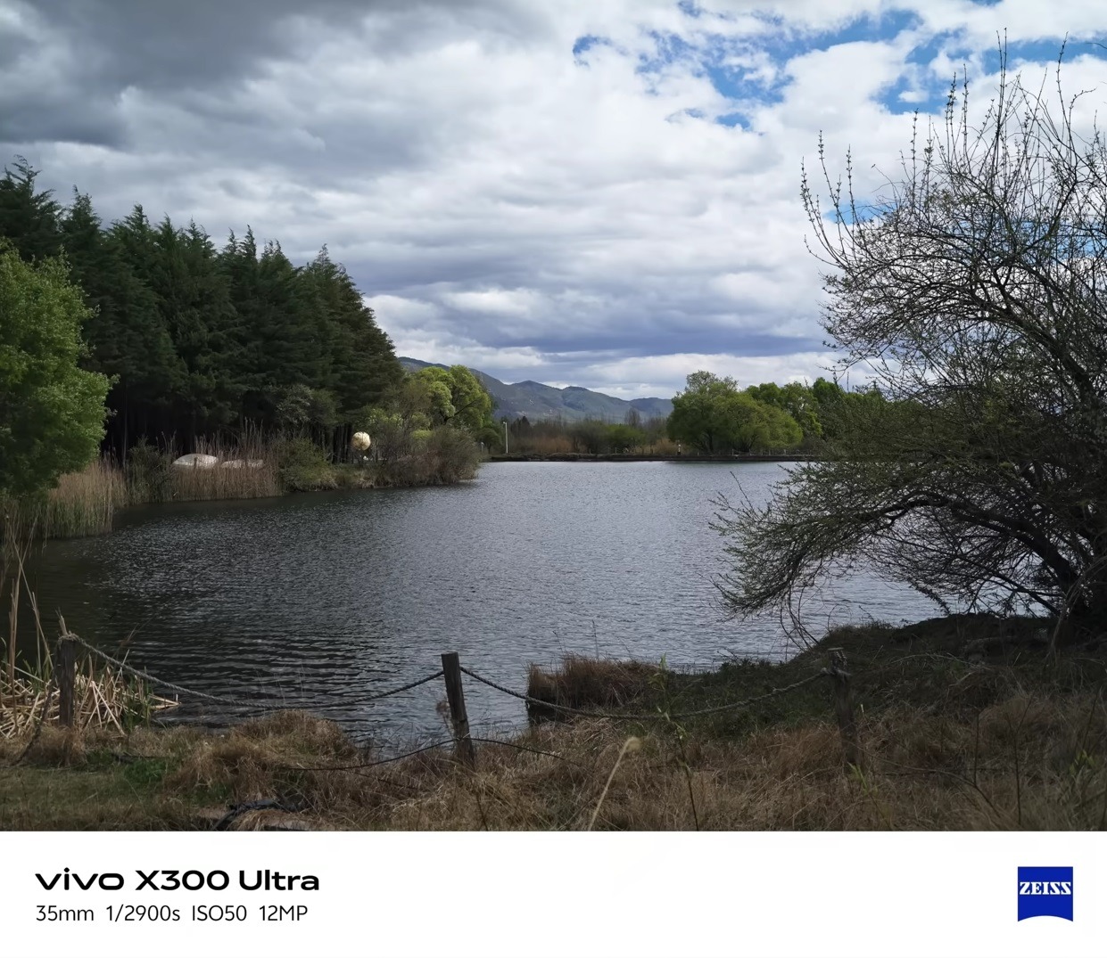 Угол захвата основной камеры vivo X300 Ultra может показаться непривычным. Изображение: ben’s gadget reviews. Фото.