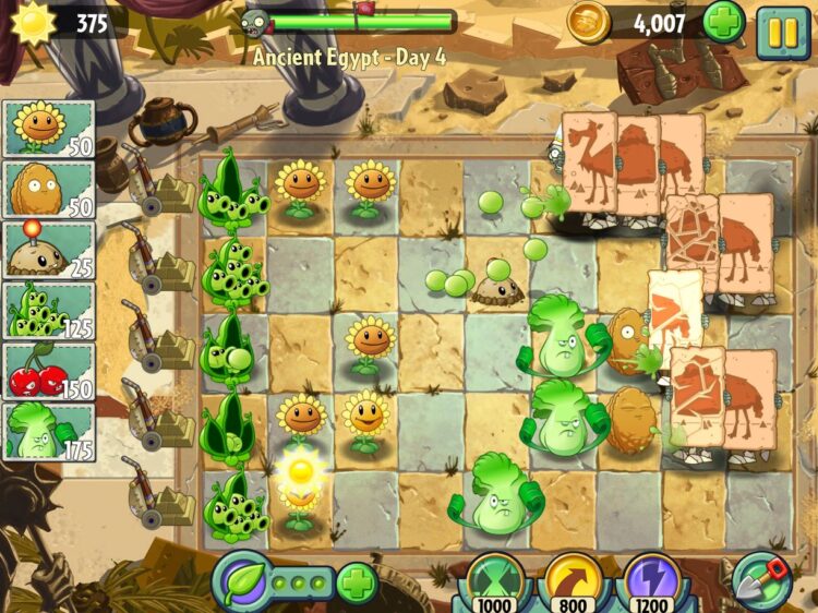 Игра про растений и зомби в представлении не нуждается. В нее играют уже много лет. Фото.