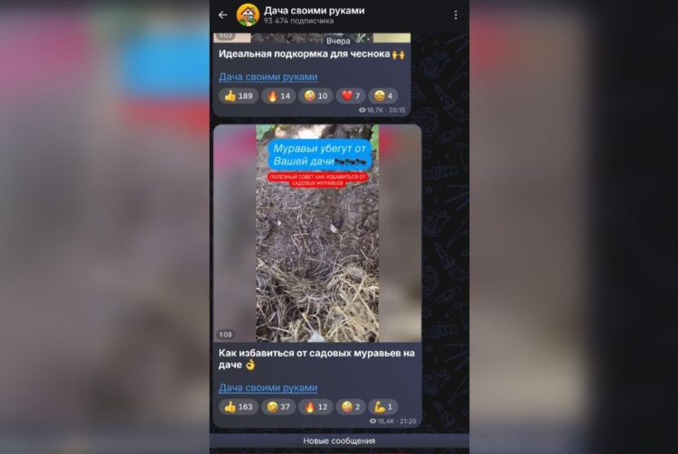 В канале есть множество лайфхаков по уходу за дачей. Фото.