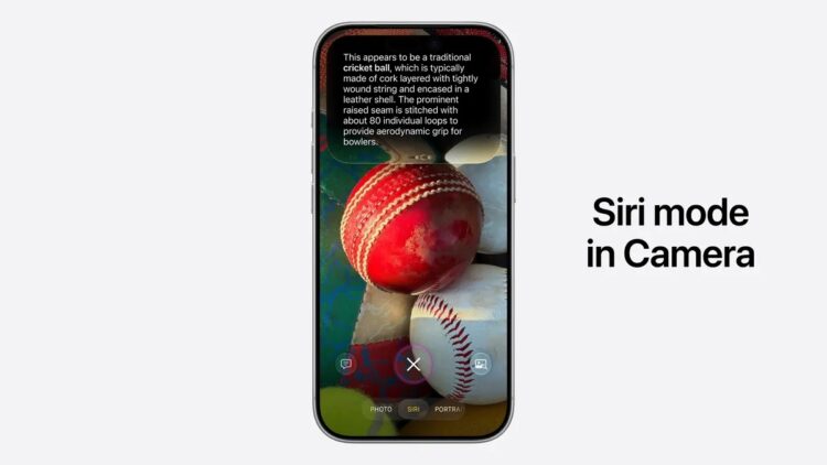 Apple зашила Siri AI прямо в приложение камеры. Изображение: Apple. Фото.