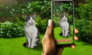 Рассказываем, что за новая игра Catch Cat появилась в Гугл Плей