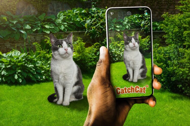 Рассказываем, что за новая игра Catch Cat появилась в Гугл Плей. Фото.