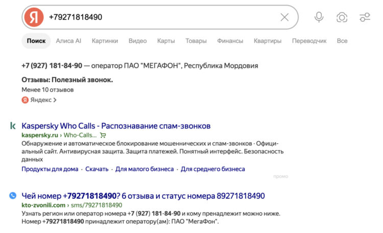 Как видите, поисковики показывают даже регион регистрации номера, но имя — почти никогда. Фото.