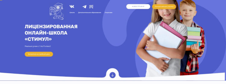 Главная страница сайта Онлайн-школа «Стимул». Фото.