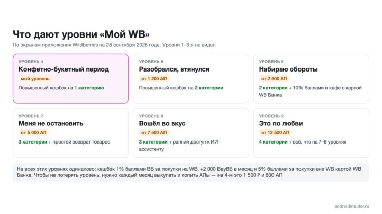 Что дают уровни программы «Мой WB»