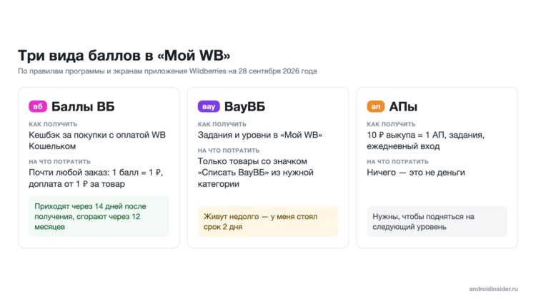 Три вида баллов в программе «Мой WB»