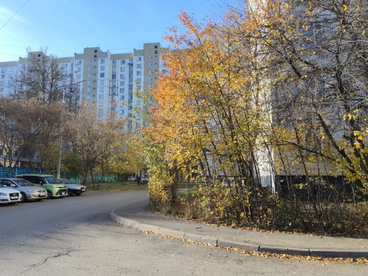 У разных моделей камера разная