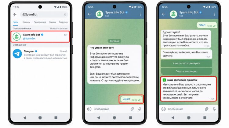Подача апелляции через Spam Info Bot